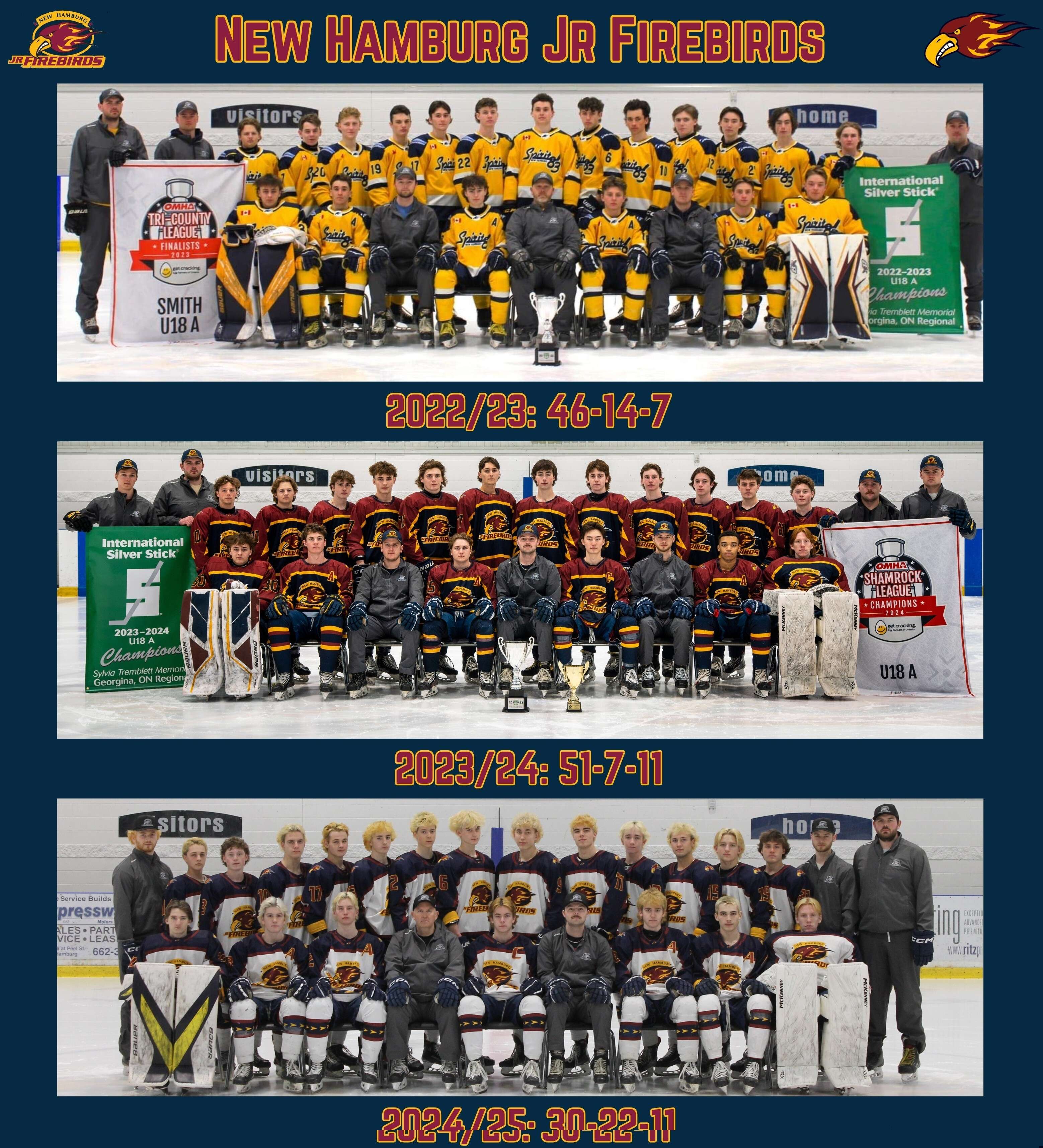 New_Hamburg_Jr_Firebirds.jpg